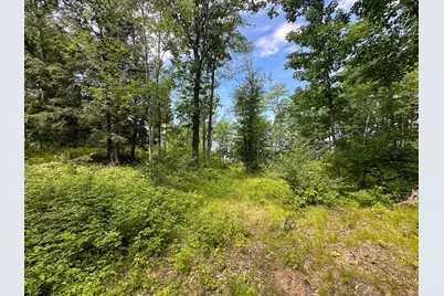 40 V/L 80th Avenue, Rodney, MI 49342 - Photo 8