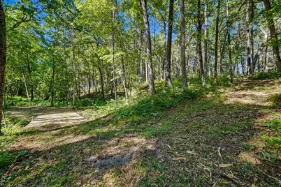 V/L E 40th Street, White Cloud, MI 49349 - Photo 6