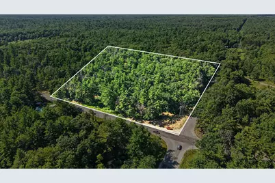 V/L E 40th Street, White Cloud, MI 49349 - Photo 1