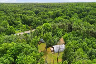 9585 E Buhler Dr, Howard City, MI 49329 - Photo 28