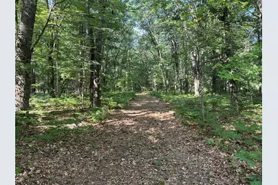 802 Beaver Road, Bitely, MI 49309 - Photo 4