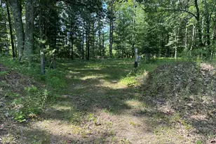 802 Beaver Rd, Bitely, MI 49309 - Photo 1