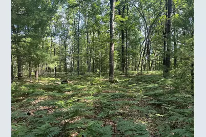 802 Beaver Road, Bitely, MI 49309 - Photo 6