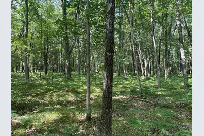 802 Beaver Road, Bitely, MI 49309 - Photo 10