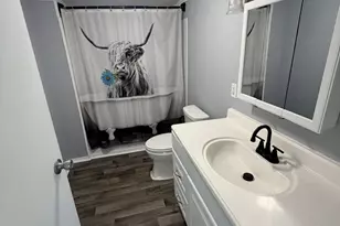 509 Spring Harbor Blvd, Springport, MI 49284 - Photo 10