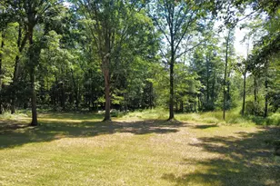 2867 E Hawley Rd, Custer, MI 49405 - Photo 8