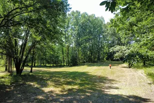 2867 E Hawley Rd, Custer, MI 49405 - Photo 46