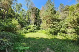 2867 E Hawley Rd, Custer, MI 49405 - Photo 40