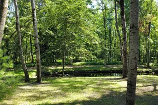 2867 E Hawley Rd, Custer, MI 49405 - Photo 48