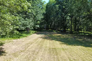 2867 E Hawley Rd, Custer, MI 49405 - Photo 52