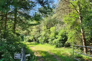 2867 E Hawley Rd, Custer, MI 49405 - Photo 2