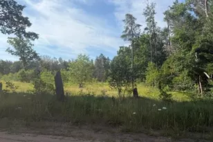 2045 S Hill Rd, Baldwin, MI 49304 - Photo 44