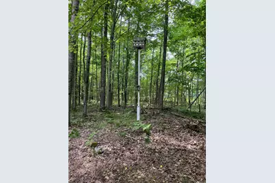 2355 Orchard Landing Road, Brethren, MI 49619 - Photo 14