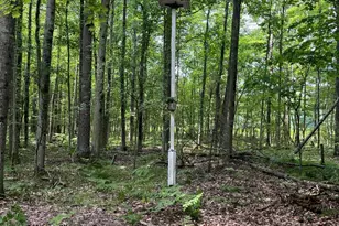 2355 Orchard Landing Rd, Brethren, MI 49619 - Photo 14