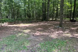 2355 Orchard Landing Rd, Brethren, MI 49619 - Photo 16