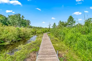 271 E Autumn Ln, Coldwater, MI 49036 - Photo 46