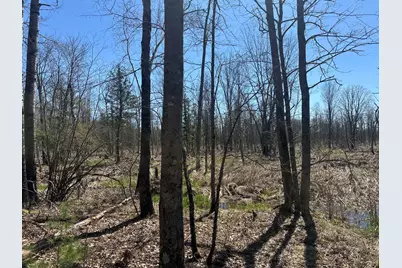 604 Beaver Road, Bitely, MI 49309 - Photo 90