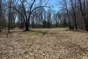 604 Beaver Rd, Bitely, MI 49309 - Photo 86