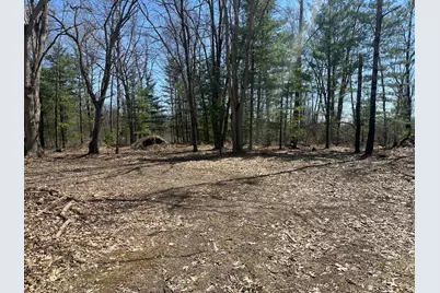604 Beaver Road, Bitely, MI 49309 - Photo 98