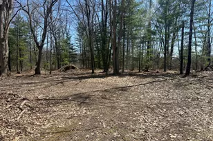 604 Beaver Rd, Bitely, MI 49309 - Photo 98