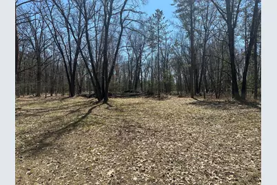604 Beaver Road, Bitely, MI 49309 - Photo 84