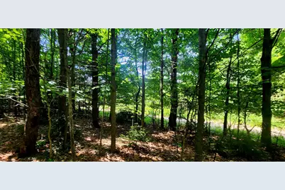W Grant Road, Shelby, MI 49455 - Photo 8