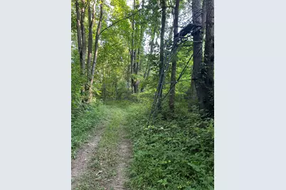 Maple Grove Road, Hastings, MI 49058 - Photo 30