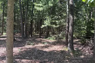 575 S Wolf Lake Rd, Muskegon, MI 49442 - Photo 46