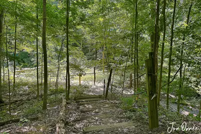 2805 New Holland Street, Hudsonville, MI 49426 - Photo 42