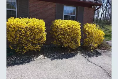 3052 Bonita Drive SE, Grand Rapids, MI 49508 - Photo 6