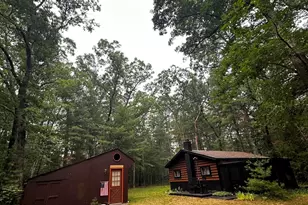 8047 W Peterson Rd, Irons, MI 49644 - Photo 8