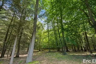 4434 N Pine Ave, Mears, MI 49436 - Photo 36