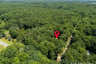 8770 Jewell NE, Comstock Park, MI 49321 - Photo 36