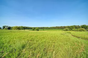 11329 Rosemary Ln, Munith, MI 49259 - Photo 60