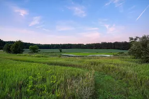 11329 Rosemary Ln, Munith, MI 49259 - Photo 74