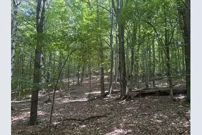 3475 Grace Road, Frankfort, MI 49635 - Photo 16
