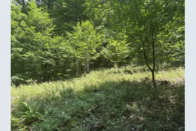 3475 Grace Road, Frankfort, MI 49635 - Photo 20