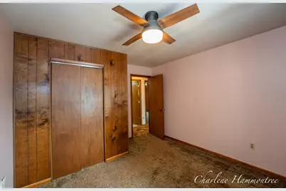 720 N King Street, Ionia, MI 48846 - Photo 16