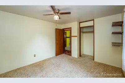 720 N King Street, Ionia, MI 48846 - Photo 20