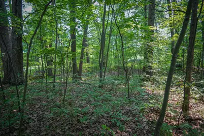 Colfax Park Road, Walkerville, MI 49459 - Photo 16