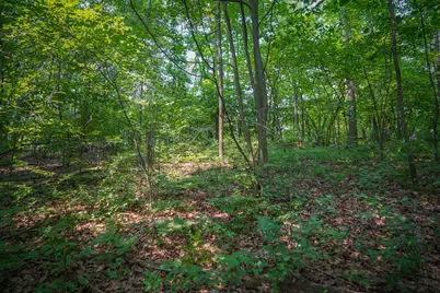 Colfax Park Road, Walkerville, MI 49459 - Photo 18