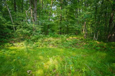 Colfax Park Road, Walkerville, MI 49459 - Photo 20
