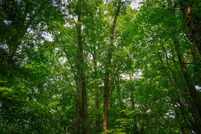 Colfax Park Road, Walkerville, MI 49459 - Photo 10