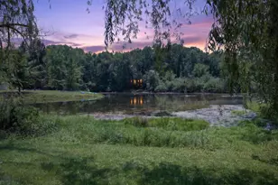 2367 Loomis Rd, Jackson, MI 49201 - Photo 44