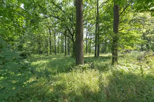 68555 Union Rd, Union, MI 49130 - Photo 34