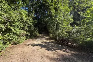 Vl Keller Rd, Delton, MI 49046 - Photo 1
