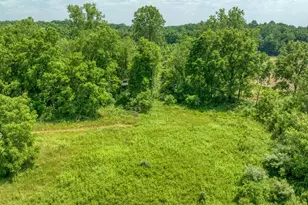 1533 E Munger Rd, Tecumseh, MI 49286 - Photo 50