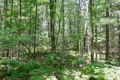 V/L Lakewood Drive, Harrison, MI 48625 - Photo 14