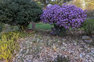 122 N Hudson St, Coldwater, MI 49036 - Photo 44