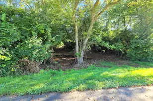 45 Lot 14 Burning Tree Ln, Jackson, MI 49201 - Photo 1